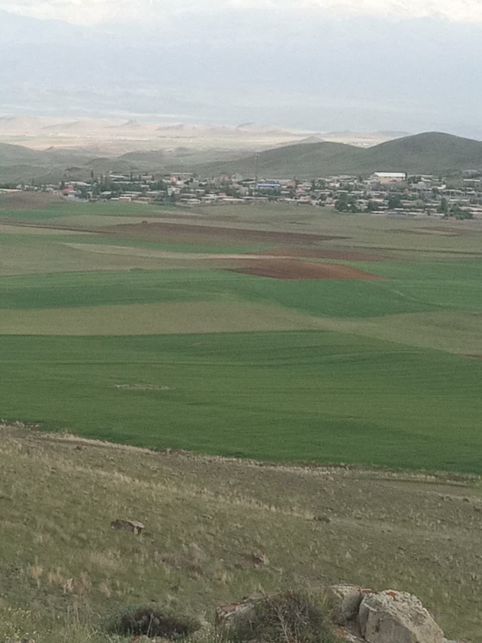 شهرداری مرادلو